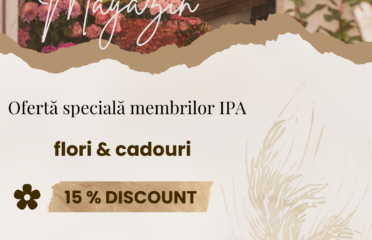 Regiunea 2 Bacau si Lyly Magazin