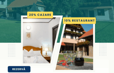 Regiunea 4 Timis si Villa Gherman